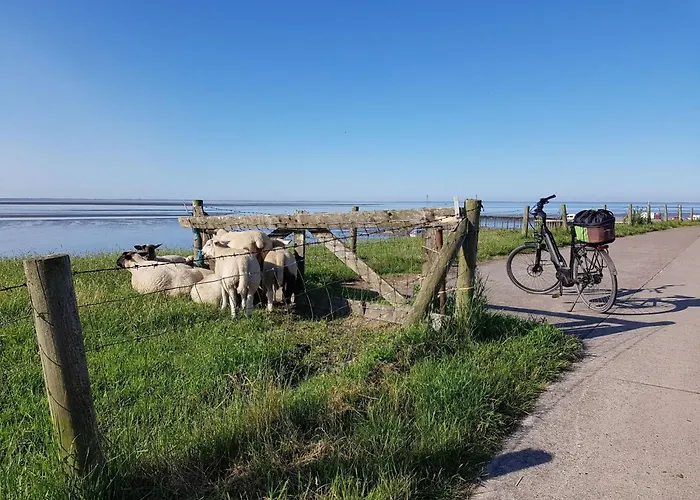 A 17 Mit Eigenem Exklusivem Zugang Zum Binnensee By Interhome Сasa de vacaciones Grosswurden